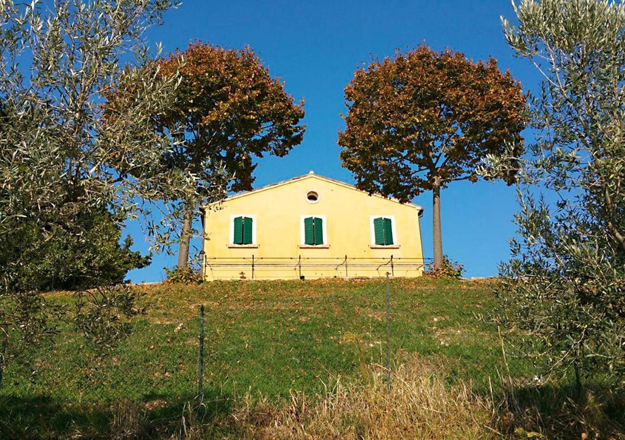 B&B Santa Caterina Acquaviva Picena Oda fotoğraf
