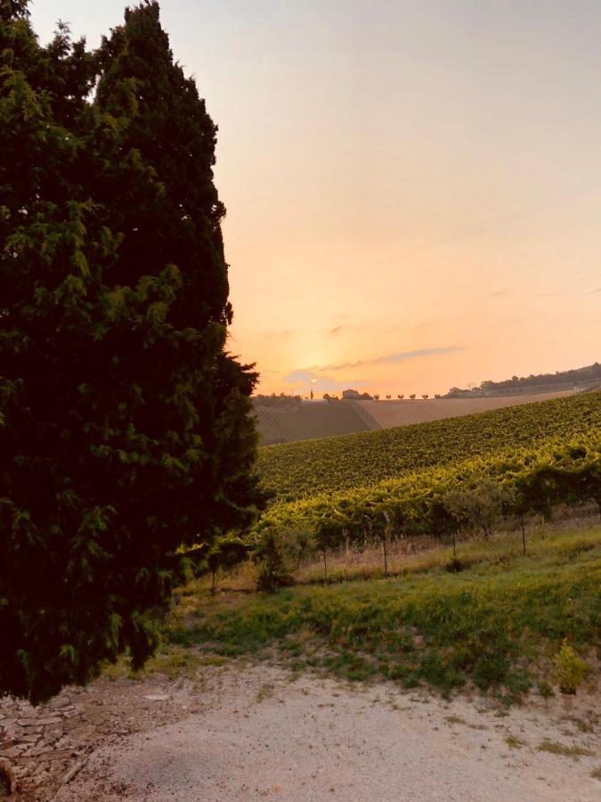 B&B Santa Caterina Acquaviva Picena Dış mekan fotoğraf