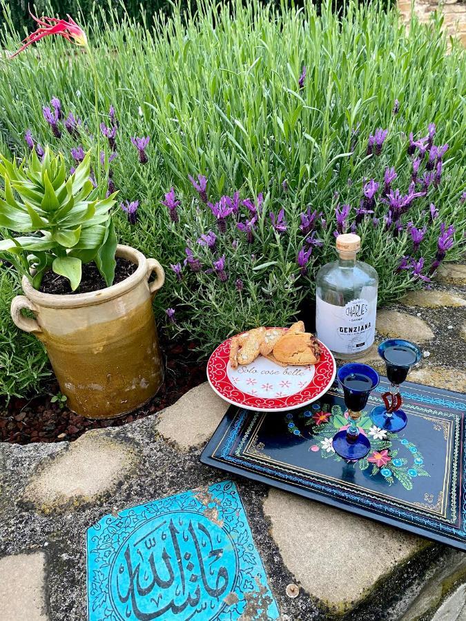 B&B Santa Caterina Acquaviva Picena Dış mekan fotoğraf
