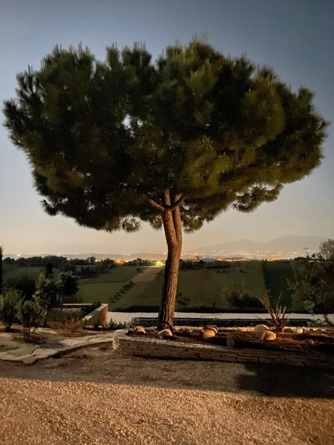 B&B Santa Caterina Acquaviva Picena Dış mekan fotoğraf