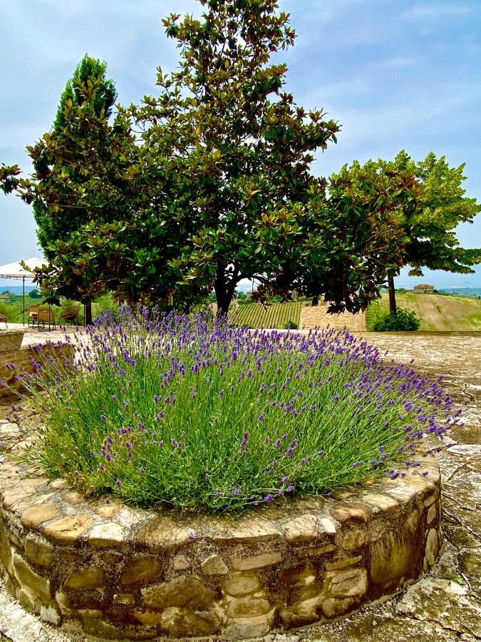 B&B Santa Caterina Acquaviva Picena Dış mekan fotoğraf