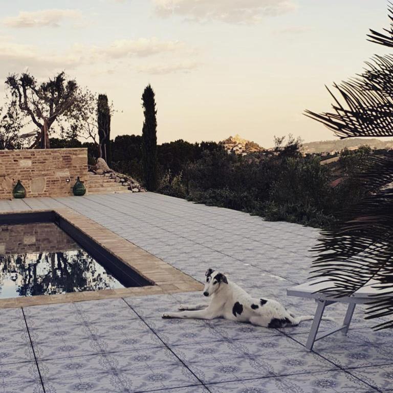 B&B Santa Caterina Acquaviva Picena Dış mekan fotoğraf
